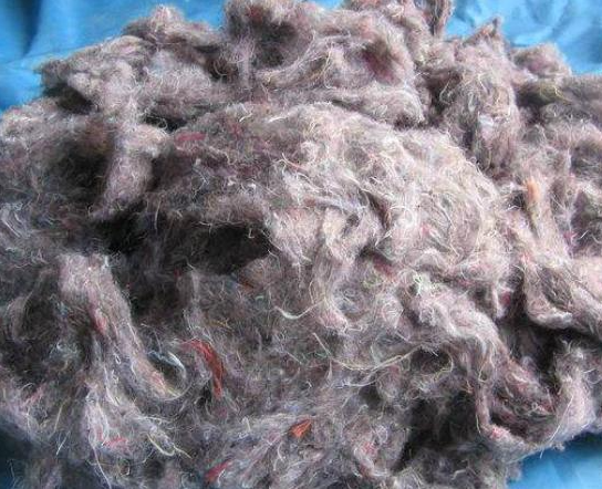 舊衣服做再生棉國家禁止嘛？再生棉衣服對人體有害嗎？