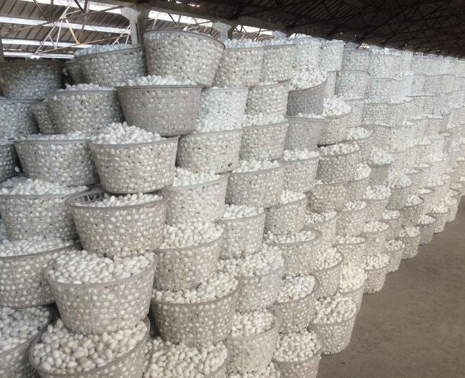 商務(wù)部關(guān)于繭絲綢行業(yè)“十四五”發(fā)展的指導(dǎo)意見